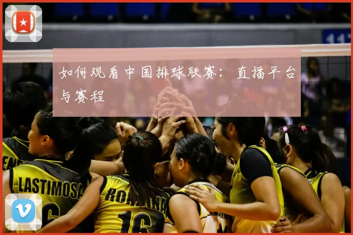 如何观看中国排球联赛:直播平台与赛程