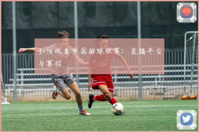 如何观看中国排球联赛:直播平台与赛程